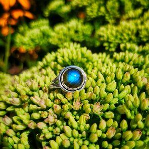 Sterling Silver Labradorite Ring Size 8 – Round Cabochon Gemstone in 925 Silver